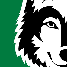 Wolf Medical Supply